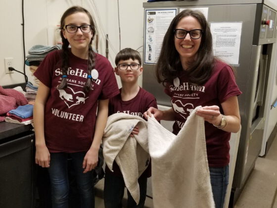 SafeHaven Volunteering