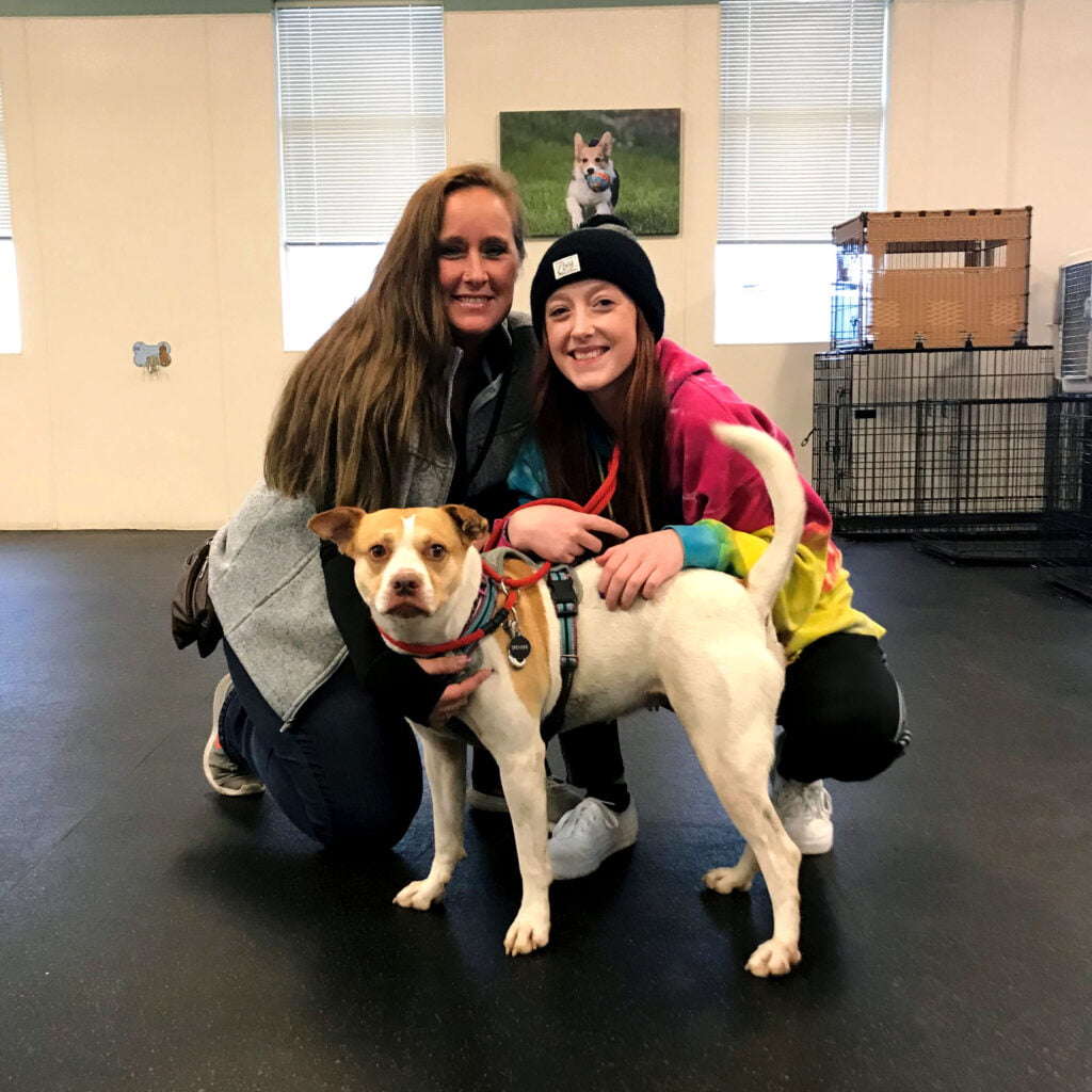 Ellie's Story SafeHaven Humane Society