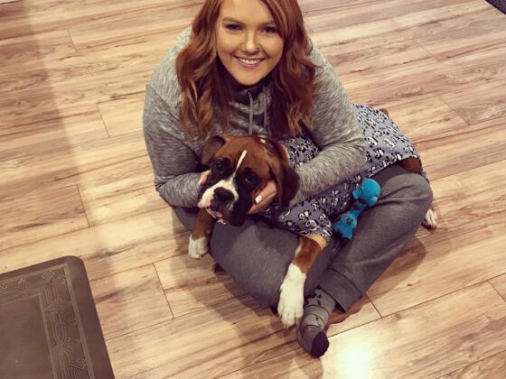 SafeHaven Humane Society Adoption